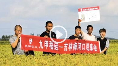 九甲稻硅-吉林省东丰县三河乡回访及实打实收